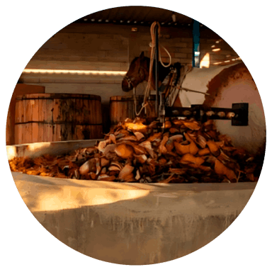 Molienda mezcal